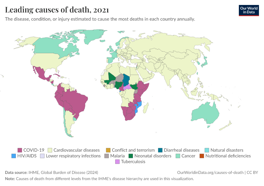 A thumbnail of the "Leading causes of death" chart