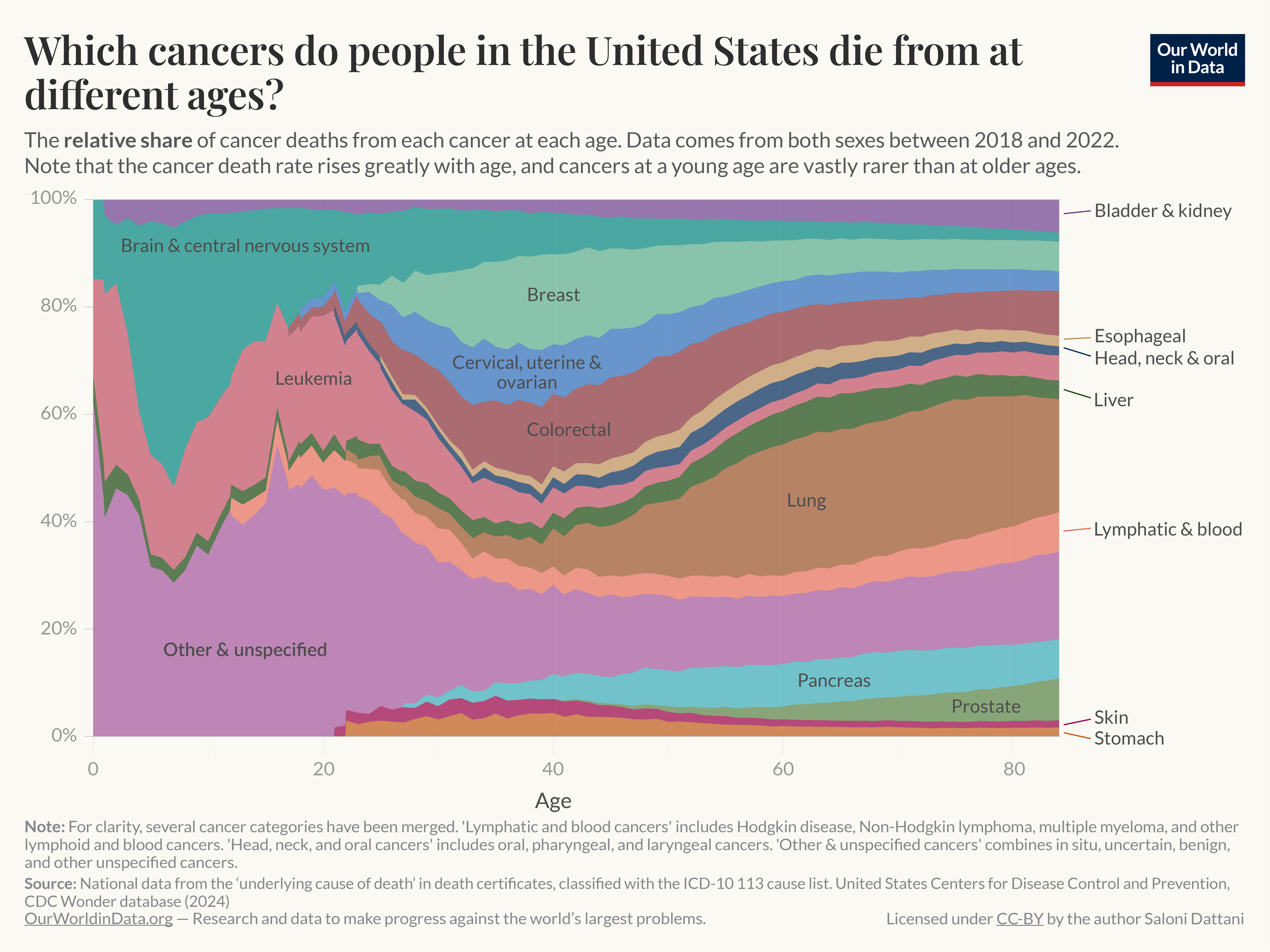 This chart, titled "Which cancers do people in the United States die from at different ages?", illustrates the relative share of cancer deaths from various types of cancer at each single-age group, between 2018 and 2022, for both sexes. It uses data from death certificates classified by ICD-10 codes, with the percentage of deaths on the y-axis and age on the x-axis.

Key overall trends:

In younger ages, brain and central nervous system cancers, leukemia, and lymphatic/blood cancers account for a larger proportion of cancer deaths.
As age increases, the proportion of lung cancer deaths rises dramatically, becoming the dominant cause by age 60 and above.
Breast cancer and colorectal cancer represent a notable share of cancer deaths in middle-aged individuals.
This chart is authored by Saloni Dattani and published on "Our World in Data," with data sourced from the United States Centers for Disease Control and Prevention (CDC), Wonder database (2024). The chart is licensed under CC-BY.